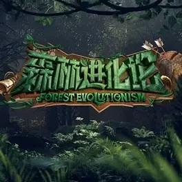 森林进化论封面图