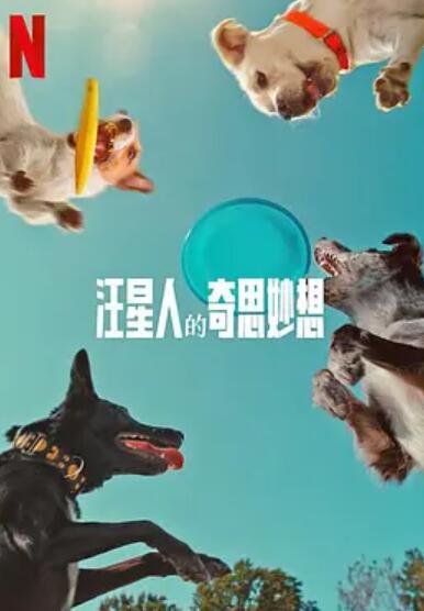 汪星人的奇思妙想封面图