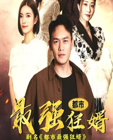 都市最强狂婿封面图