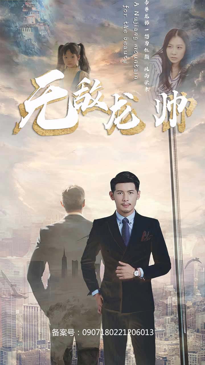无敌龙帅封面图
