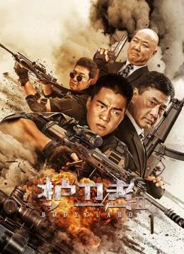护卫者2封面图