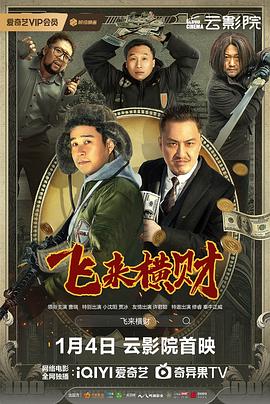飞来横财封面图