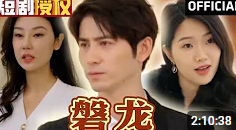 磐龙封面图