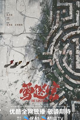 雪迷宫封面图
