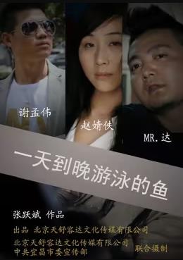一天到晚游泳的鱼封面图