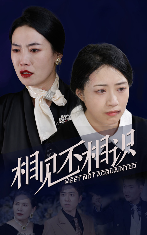 相见不相识封面图