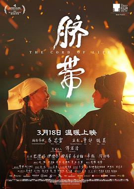 脐带封面图