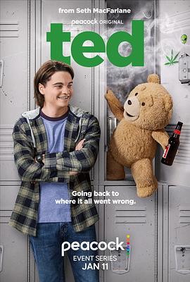 泰迪熊剧版第一季封面图