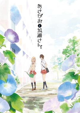 牵牛花与加濑同学。封面图
