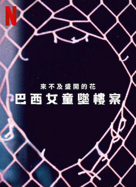 来不及盛开的花：巴西女童坠楼案封面图