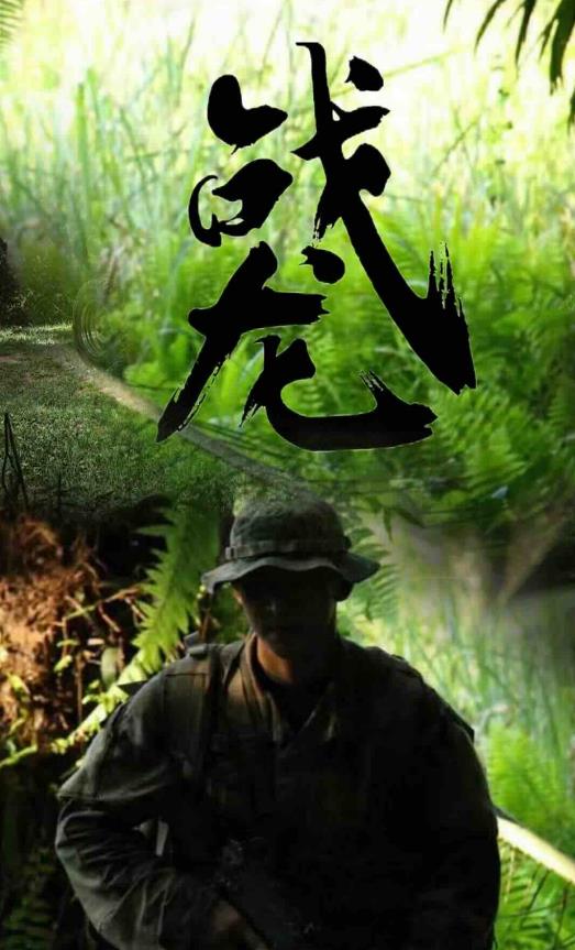 战龙封面图