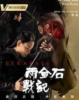 雨金石战记封面图