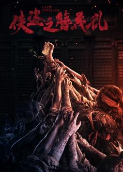 侠盗之簪花乱封面图
