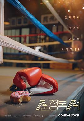 纯情拳击手封面图