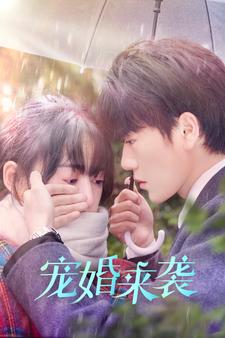 宠婚来袭封面图