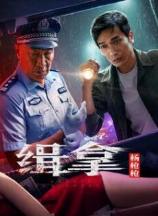 缉拿杨枪枪封面图