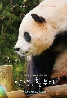 再见，福宝封面图