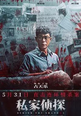 私家侦探封面图