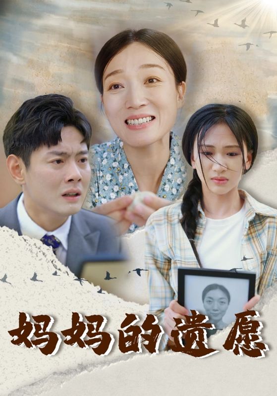 妈妈的遗愿封面图