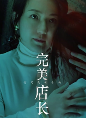 完美店长封面图