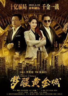 梦醒黄金城封面图