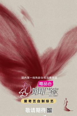 姐姐当家封面图