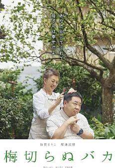 不砍梅树的傻瓜封面图