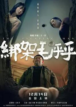 绑架毛乎乎封面图