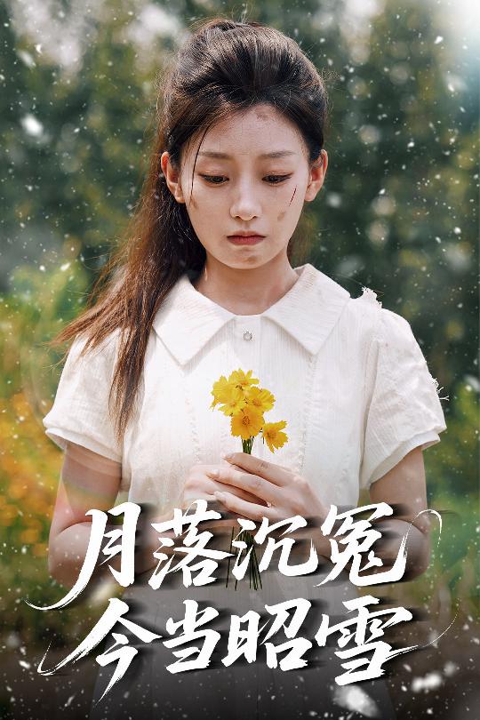 月落沉冤今当昭雪封面图