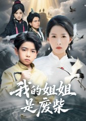 我的姐姐是废柴封面图