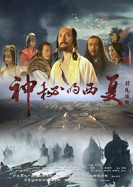 神秘的西夏封面图