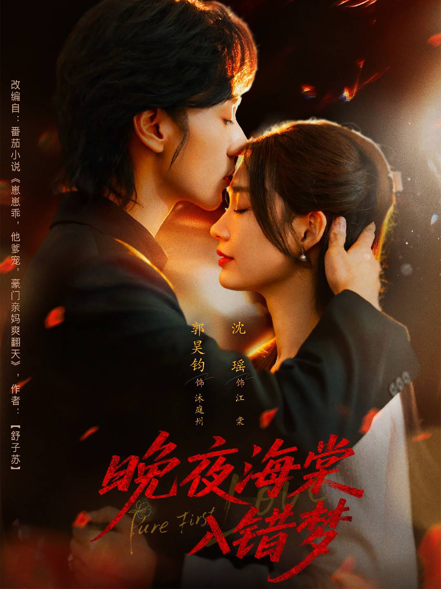 晚夜海棠入错梦封面图