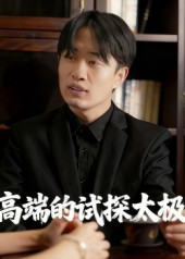 高端的试探太极封面图