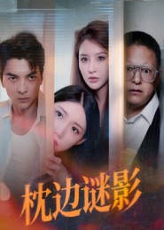 枕边谜影封面图