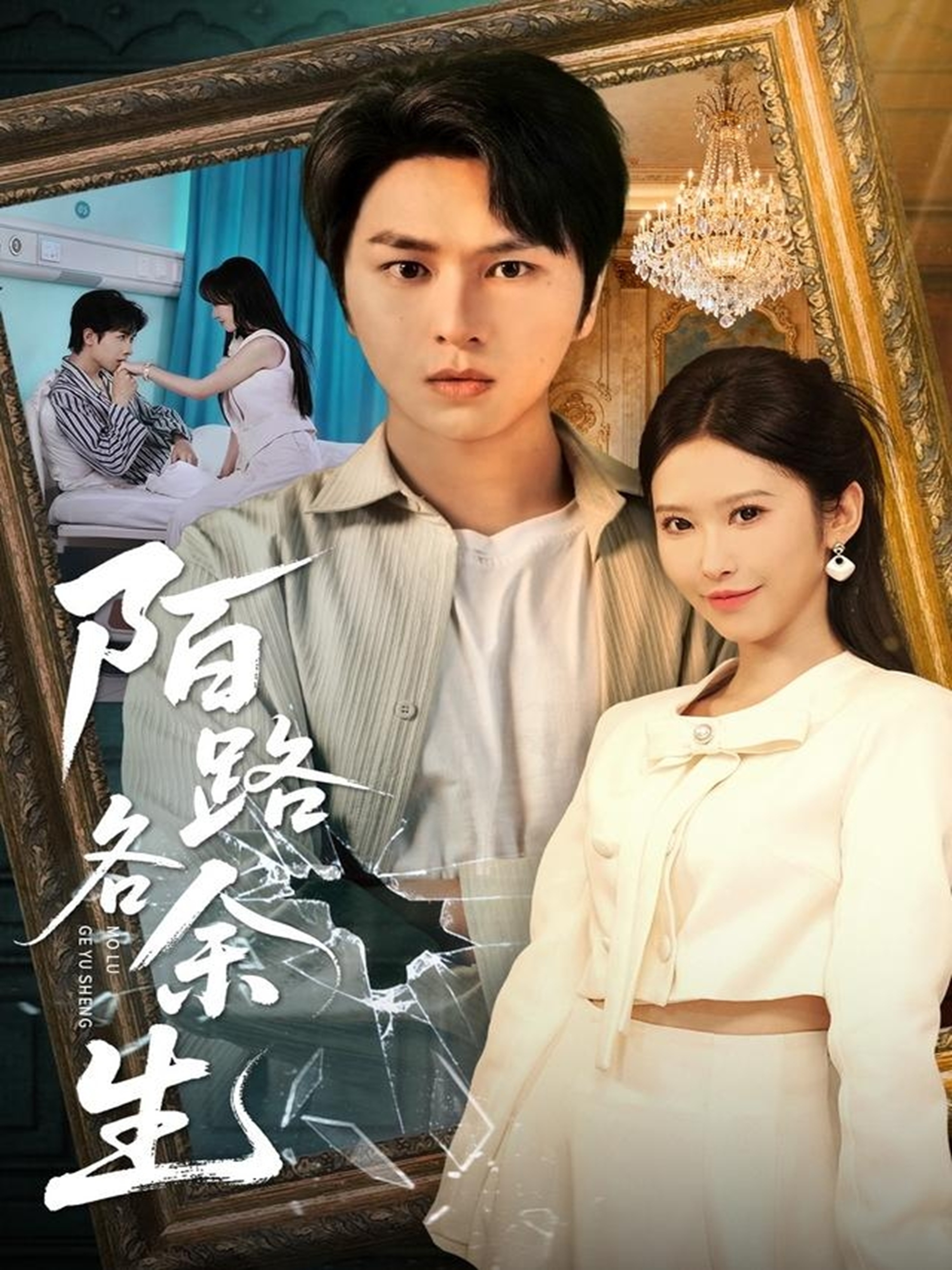 陌路各余生封面图