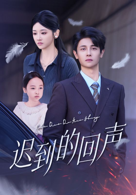迟到的回声封面图