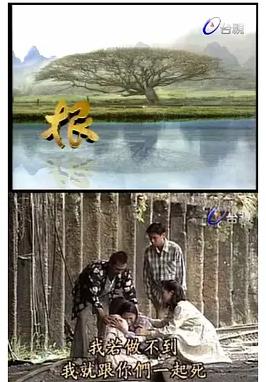 根封面图