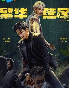 繁华落尽封面图