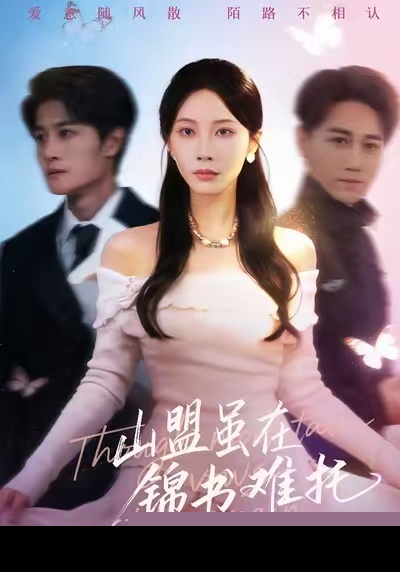 山盟虽在锦书难托封面图