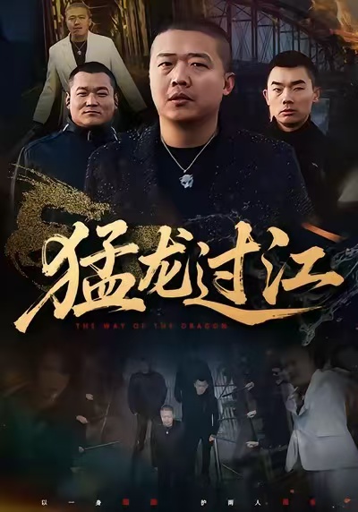 猛龙过江封面图