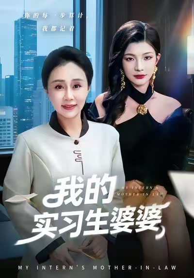 我的实习生婆婆封面图