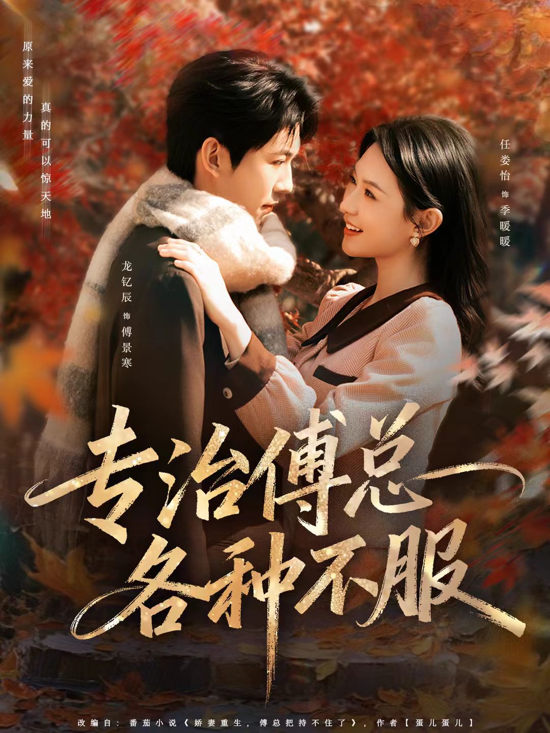 专治傅总各种不服封面图