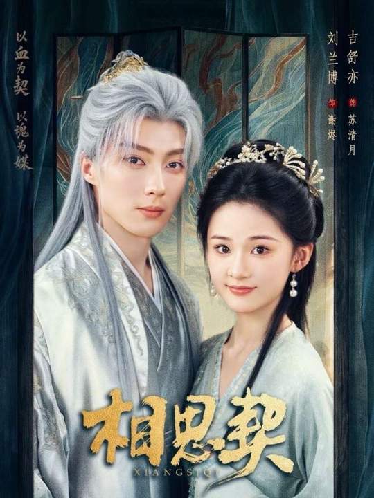 相思契封面图