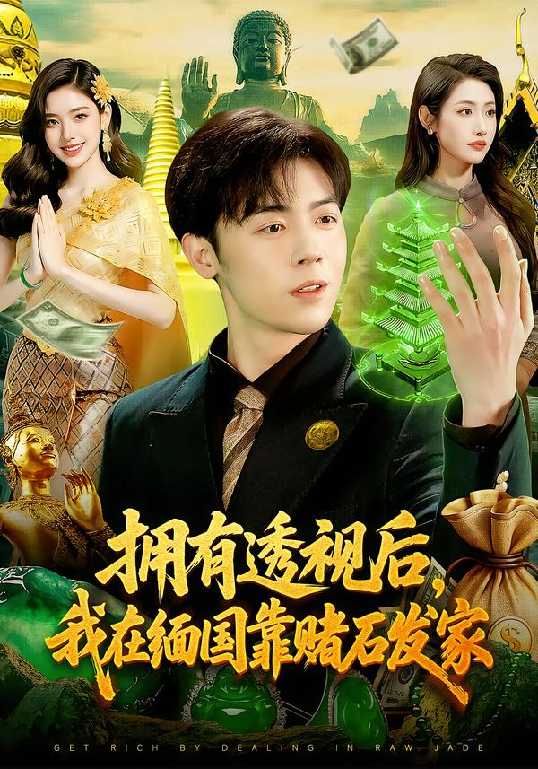 拥有透视后，我在缅国靠赌石发家封面图