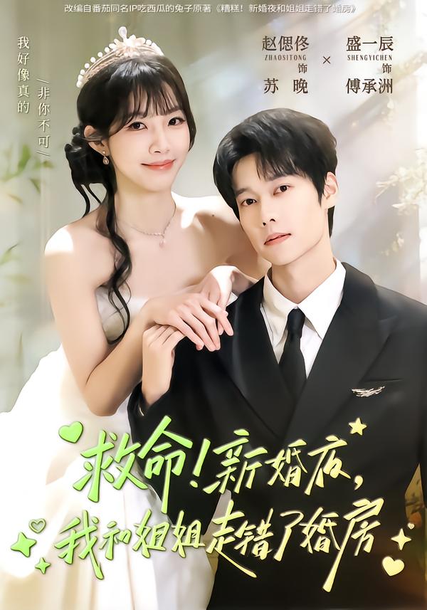 救命！新婚夜，我和姐姐走错了婚房封面图