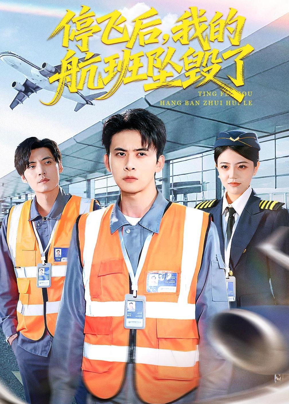 停飞后，我的航班坠毁了封面图