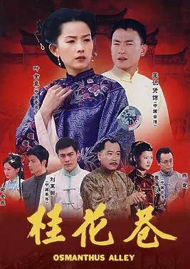 桂花巷2002封面图