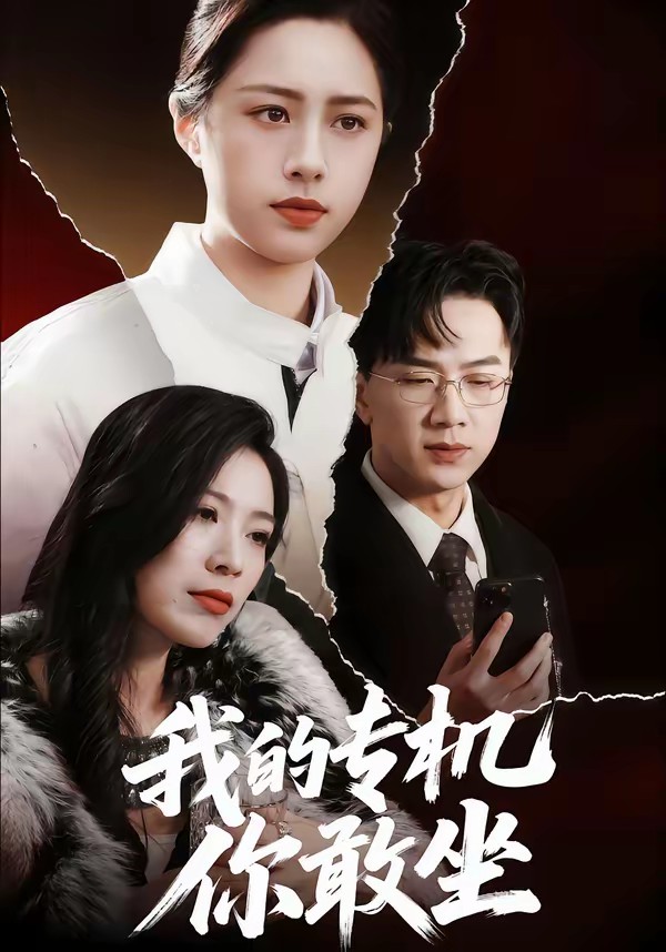 我的专机你敢坐封面图