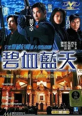 碧血蓝天封面图