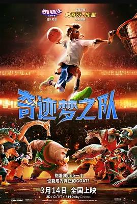 奇迹梦之队封面图